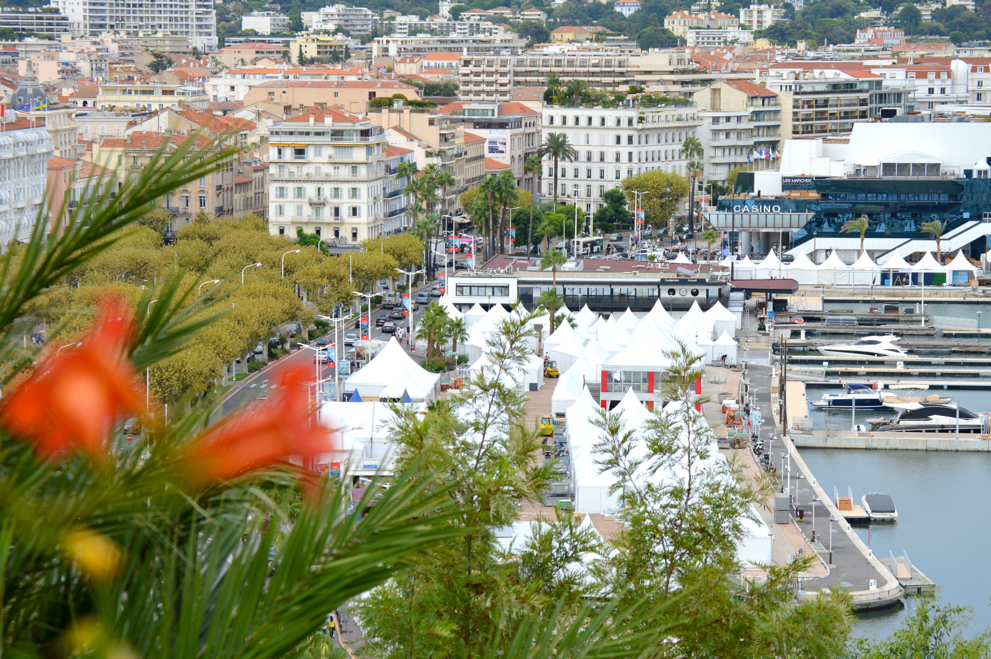 Vamos No solo cine Descubre la ciudad de Cannes en 24 horas NOTICIAS EL ...