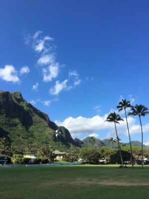 Lush mountains in Oahu, Hawaii