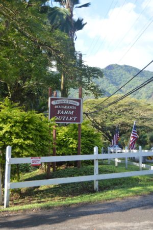 Tropical Farms Macadamia Farm Outlet in Oahu, Hawaii