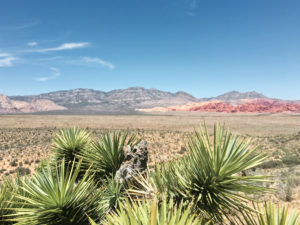 Red Rock Canyon in Las Vegas