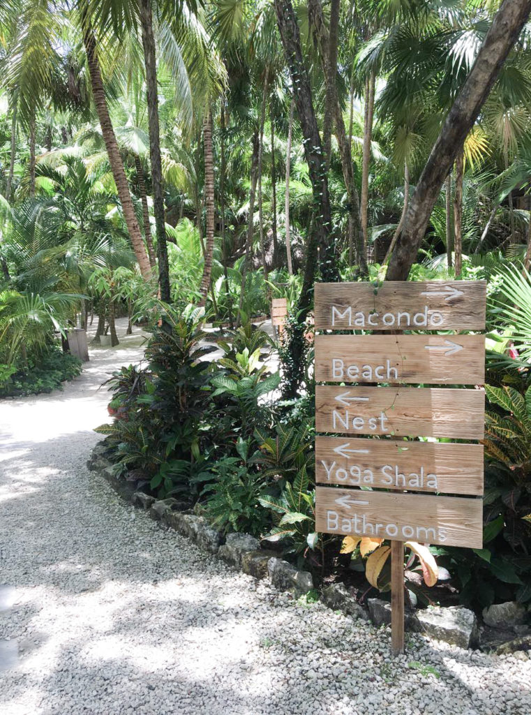 EAT, SEE, DO: A FIRST TIMER'S GUIDE TO TULUM